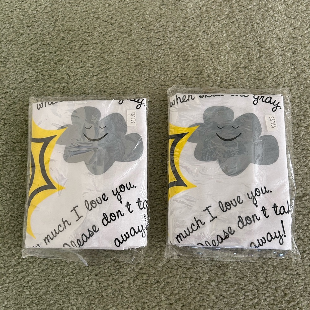 Set of 2 Thomaston Toddler pillow case NEW